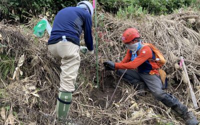 第3回こけしの森の植林を実施